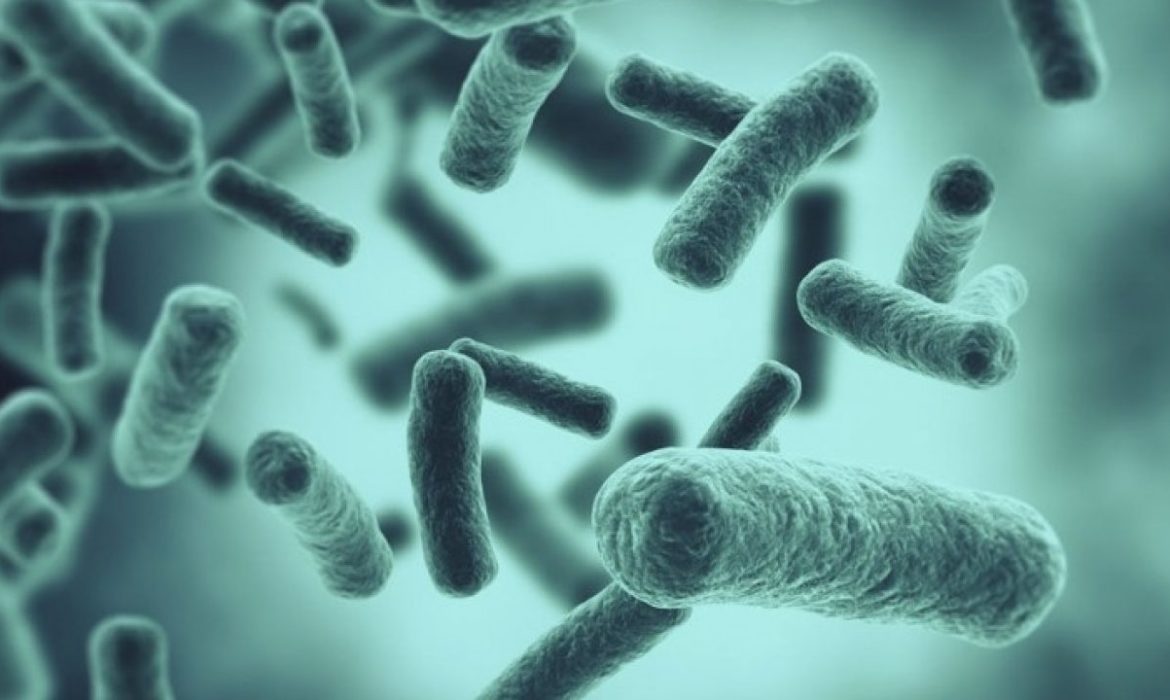 Tres probióticos que pueden ayudar a combatir  al menos diez enfermedades